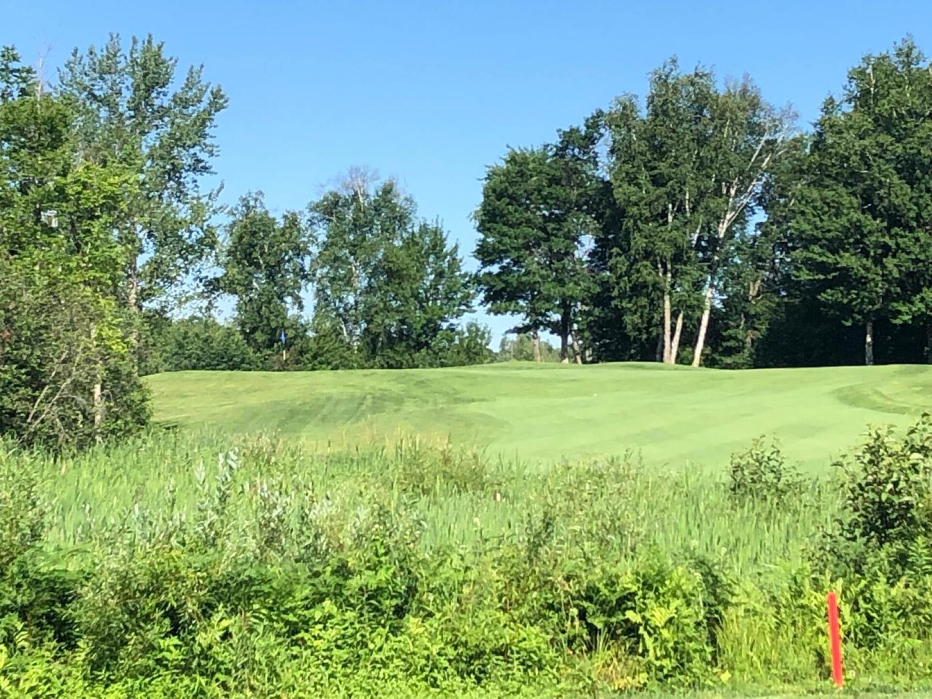 (Photo submitted by BryanTweed16 on 07/25/2019)