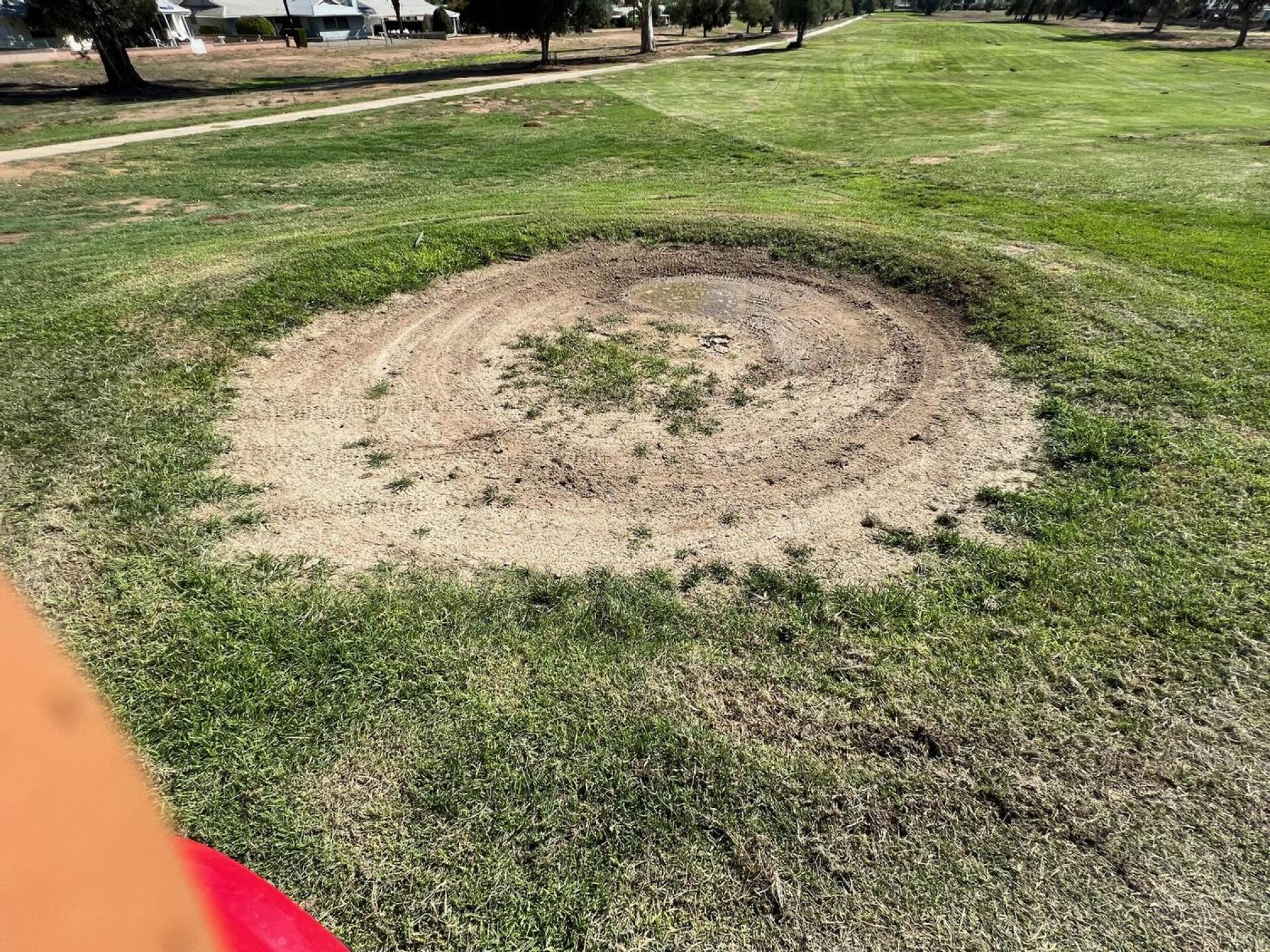 (Photo submitted by u314162828172 on 10/23/2022)