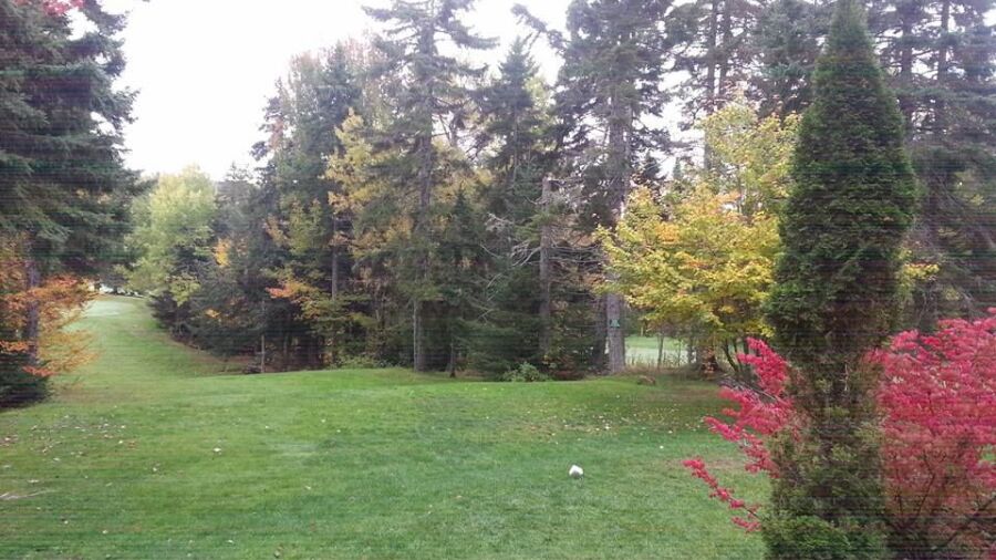 Stonehurst GC