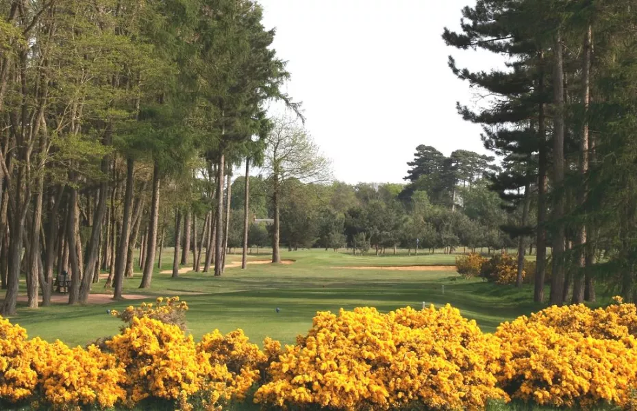 Frilford Heath GC - Blue: #13