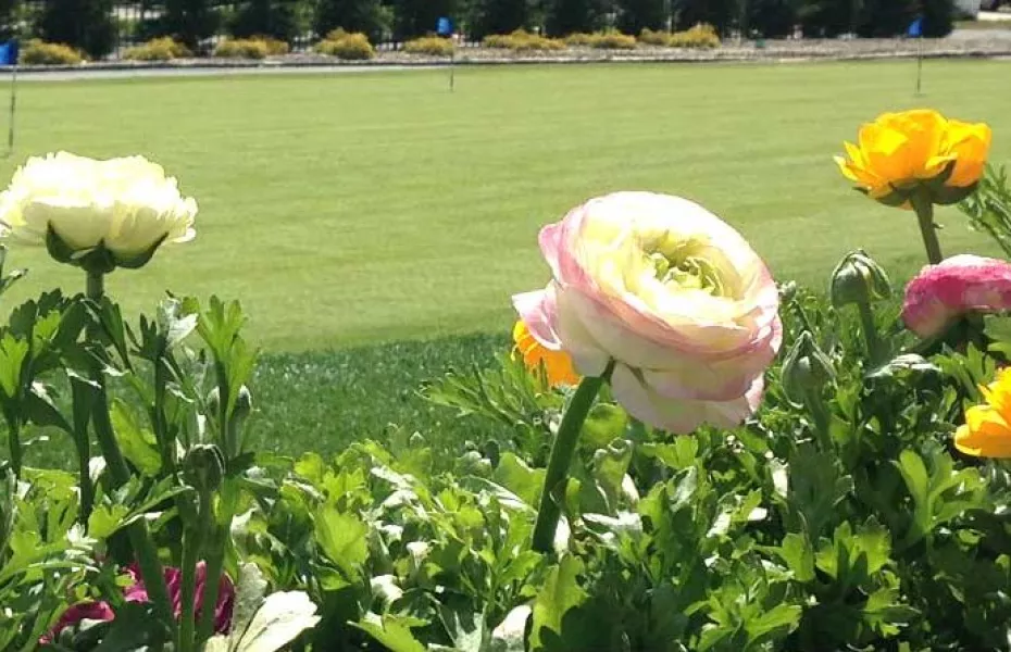 Rockville Links Club: Practice area