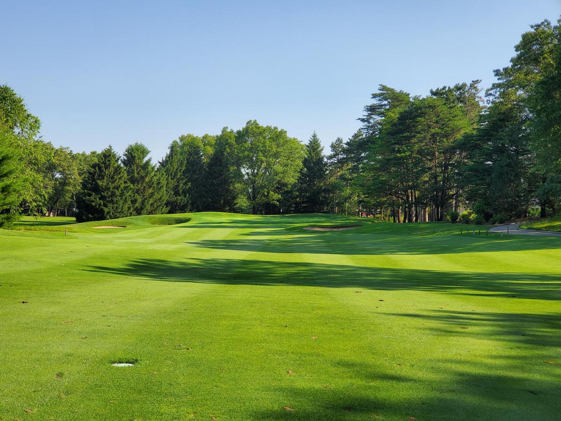 (Photo submitted by Hulked30 on 08/01/2021)