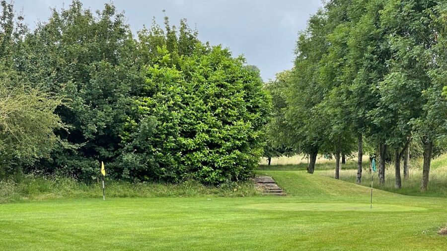 Ansty GC
