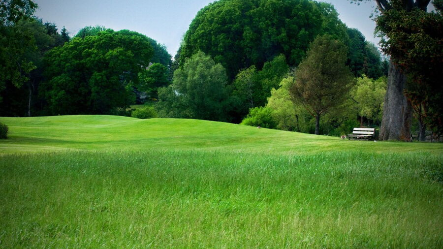 Dorchester GC