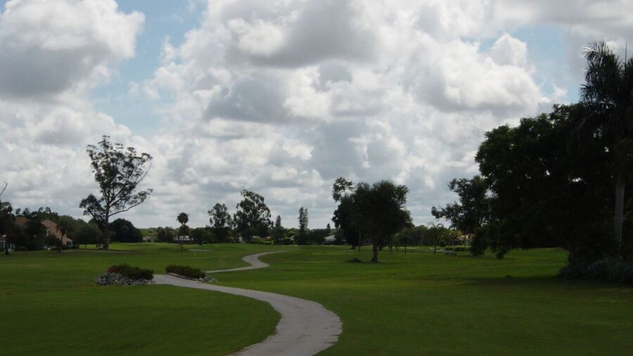 Hibiscus GC: #4