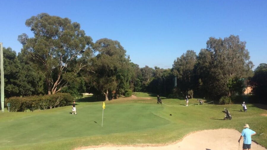 Gordon GC
