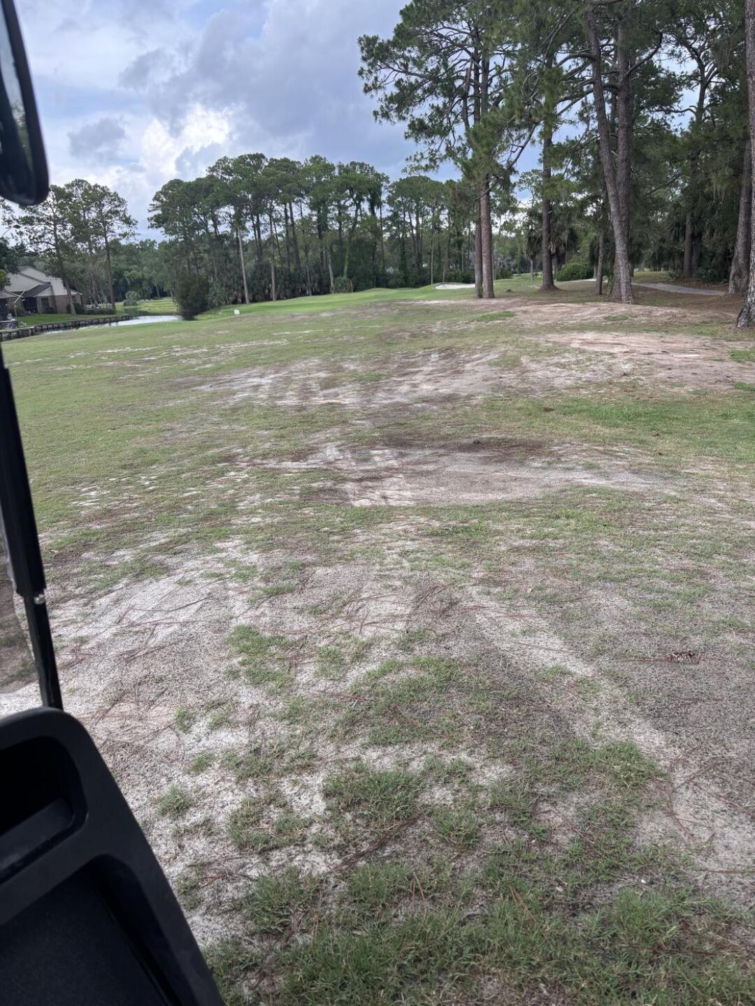(Photo submitted by EddieBuckner on 06/25/2026)