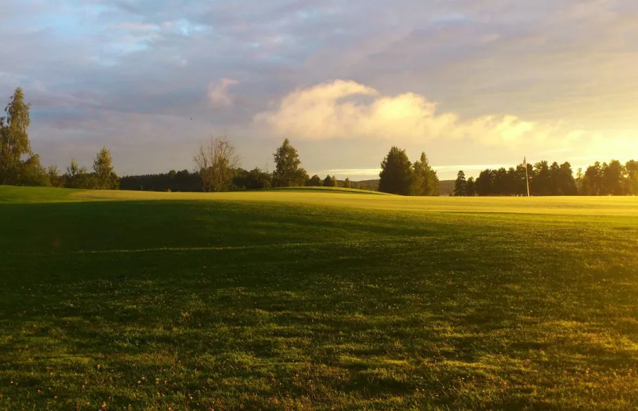 Degerfors GC: #7