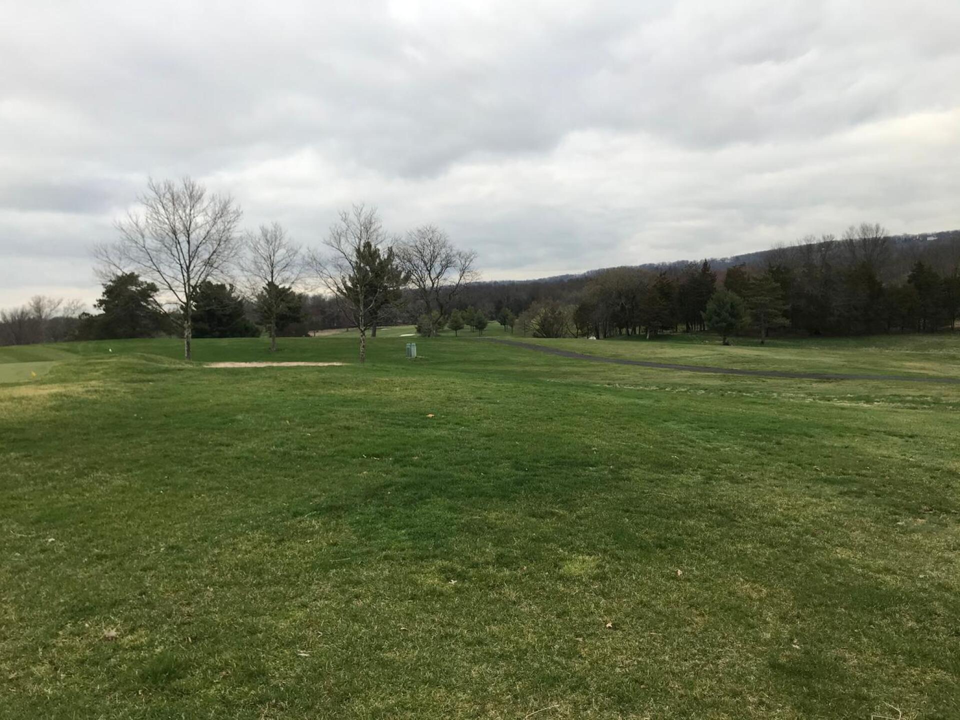 (Photo submitted by AlaaJaber on 05/03/2020)