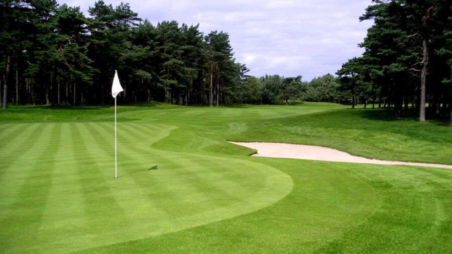 Halmstad GC - North: #8