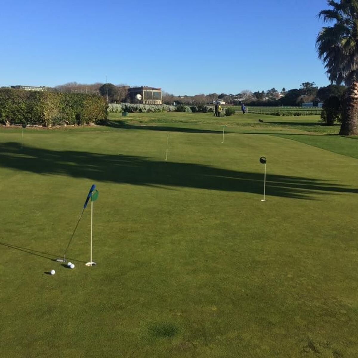 Golf Warehouse & Driving Range Ellerslie Course in Ellerslie