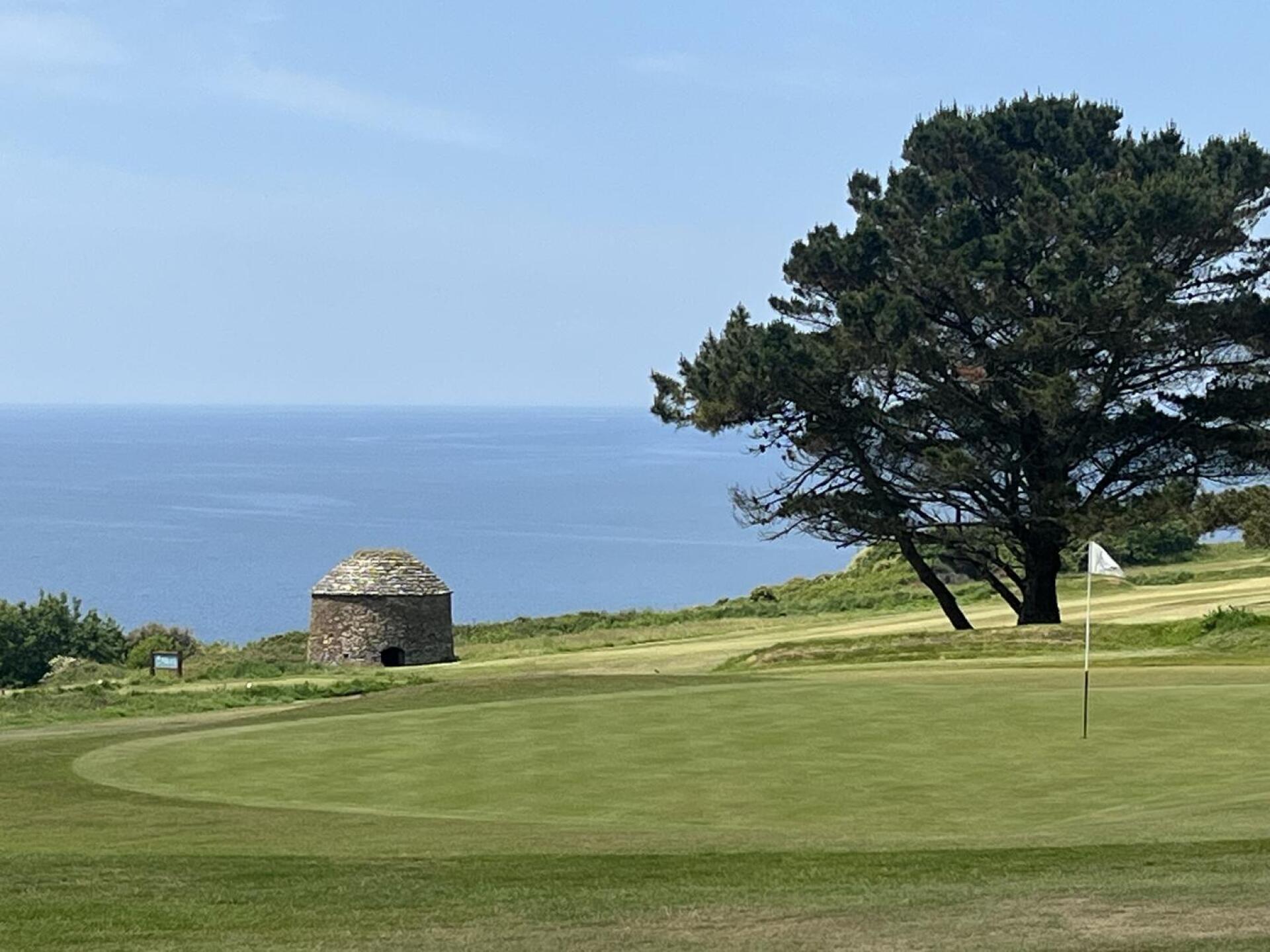 (Photo submitted by martynhadley on 05/22/2025)