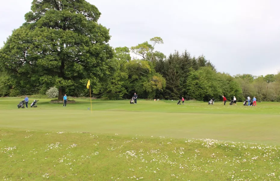 Castlerea GC
