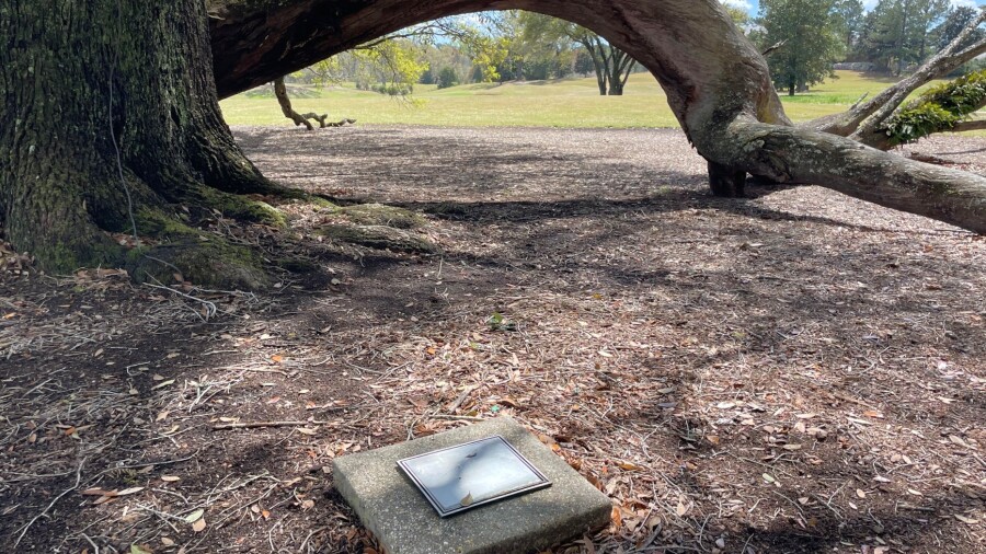 Fallen Oak - 18th hole 