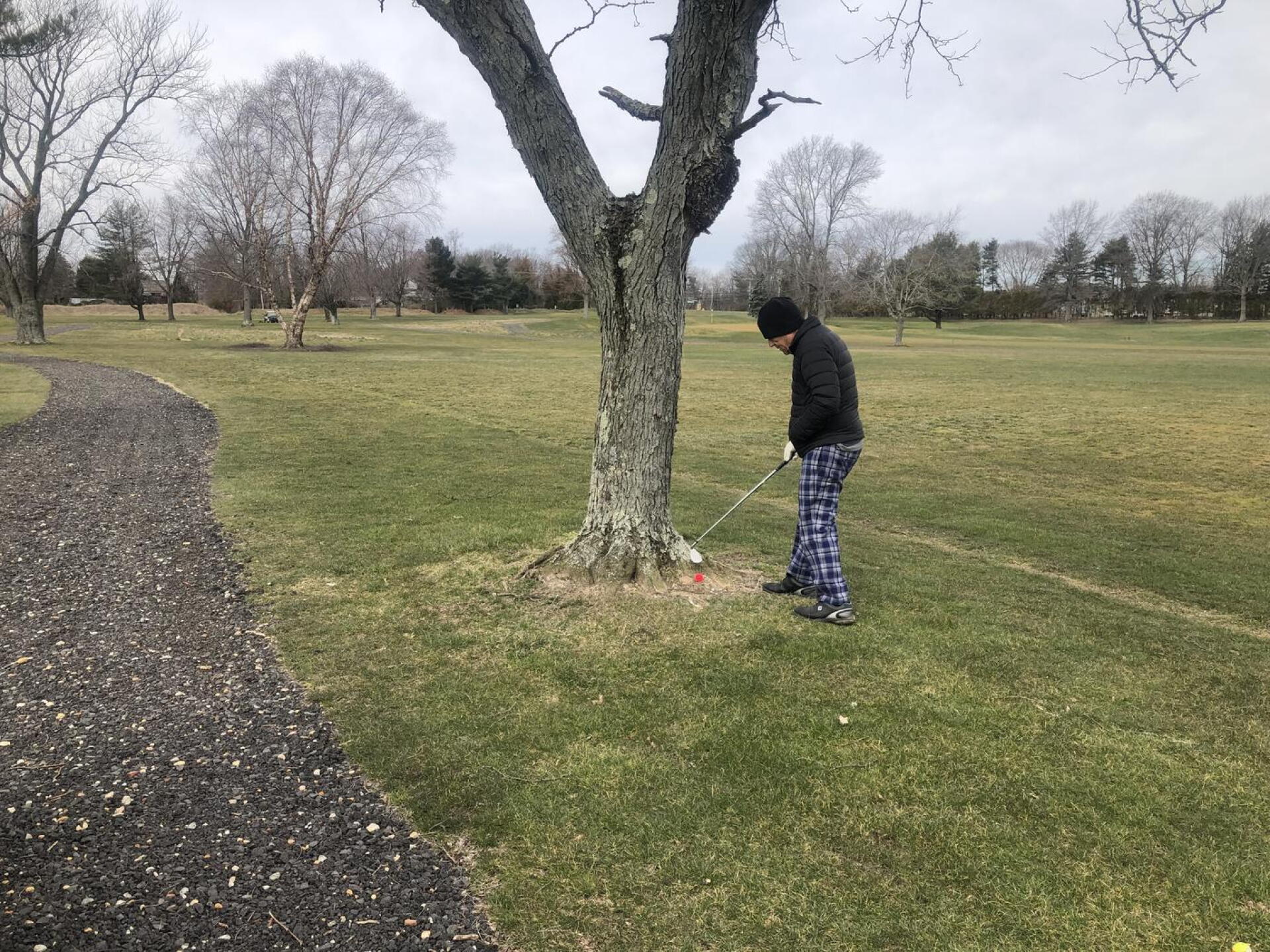 There are trees (Photo submitted by phischman on 03/18/2023)