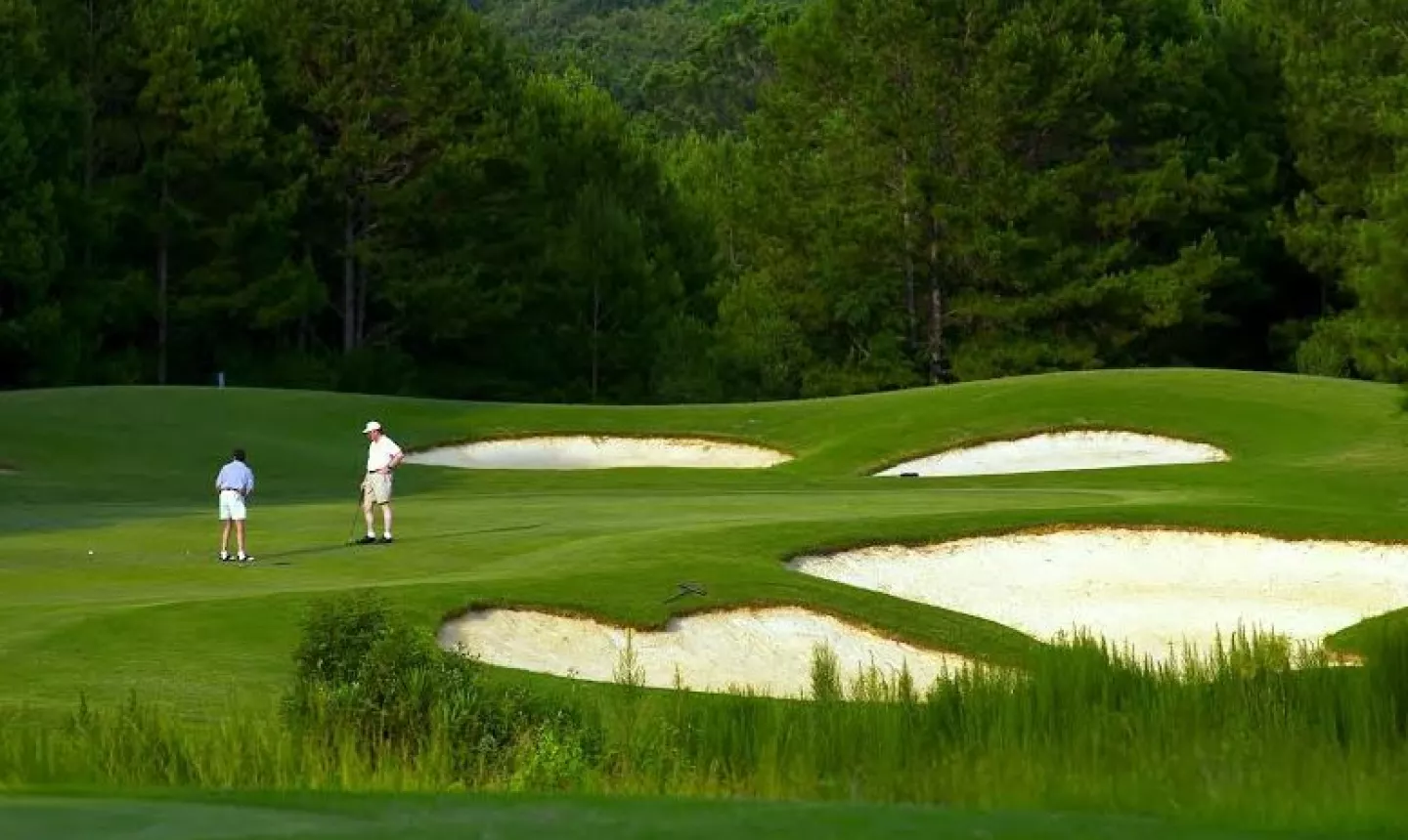 Meadow Links golf course