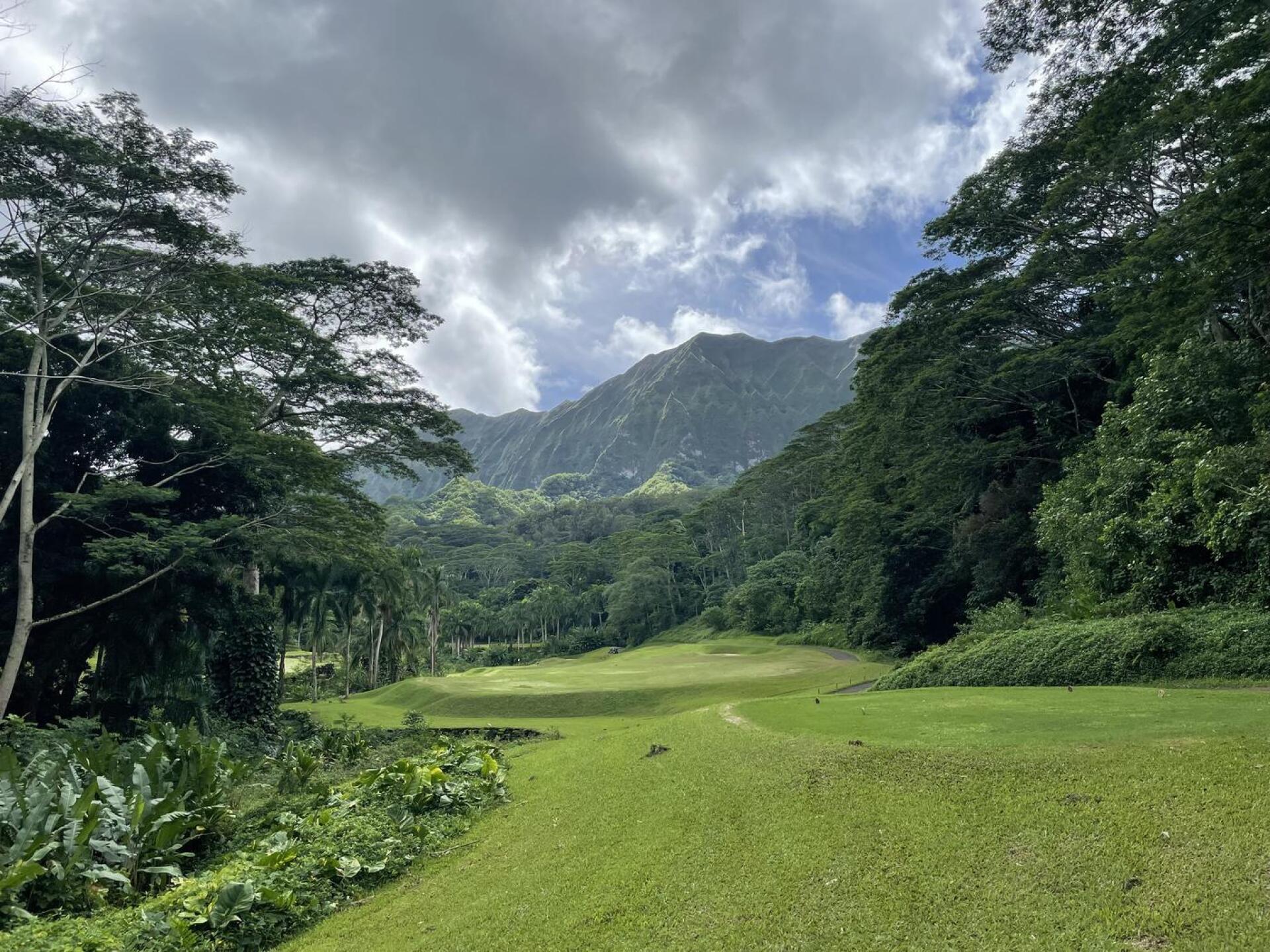 (Photo submitted by u000003333446 on 12/01/2022)