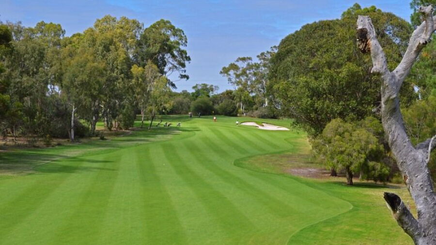 Gosnells GC: #17