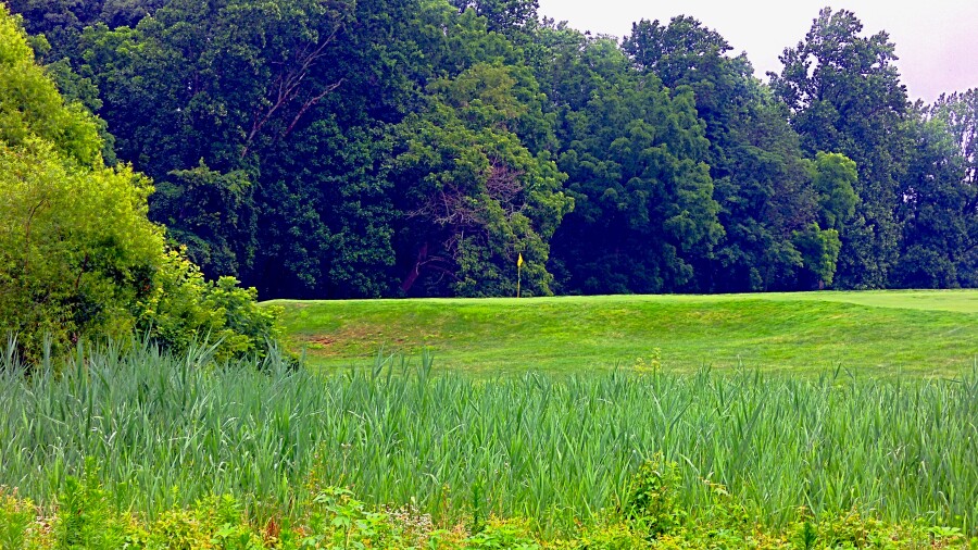 Inniscrone Golf Club - hole 8