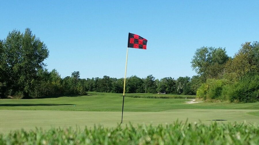Quarry Oaks