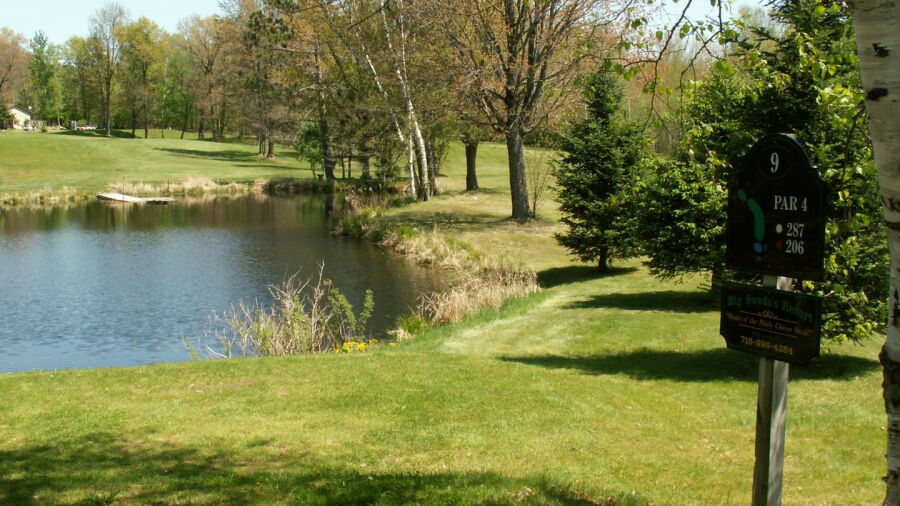 Entwood GC: #9