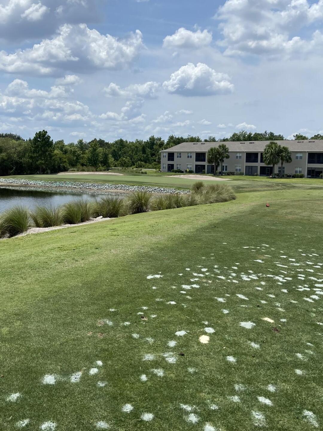 (Photo submitted by u000008009304 on 06/15/2023)