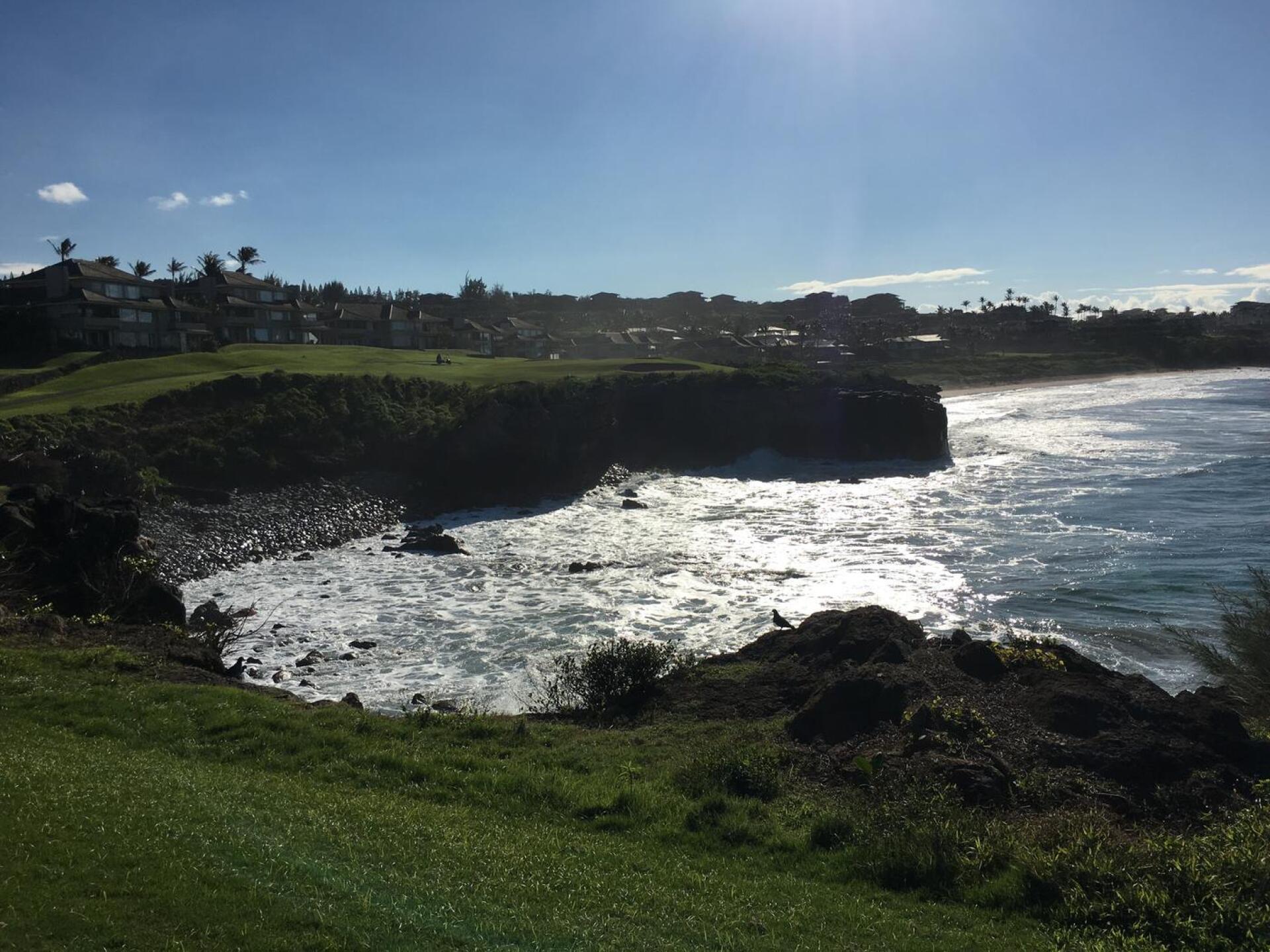 (Photo submitted by JayCoffinGC on 01/20/2017)