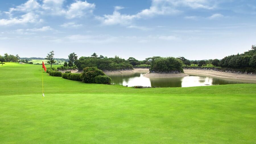 Castlex GC