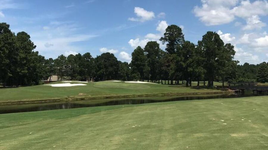 Palmer at Woodlands CC - King