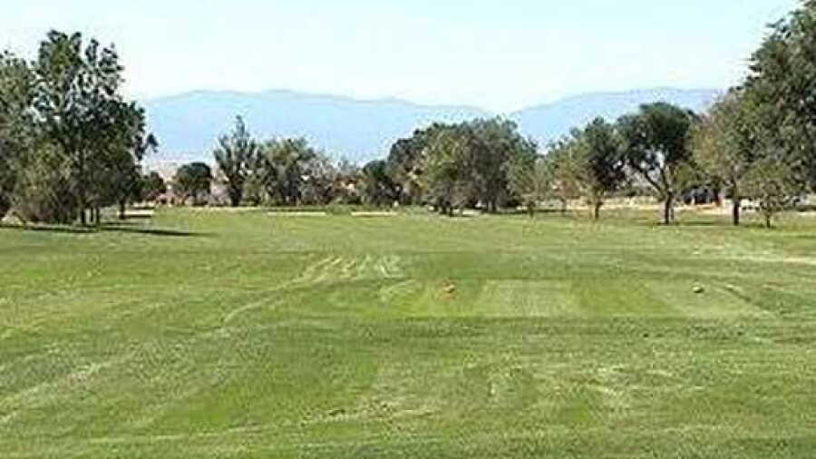 Desert Hawk at Pueblo West