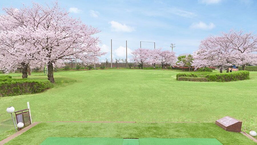 Tsuruya Golf Center Kanzakigawa: #6