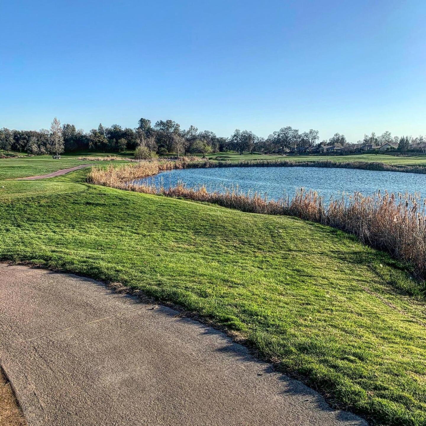 10th tee box (Photo submitted by u314161183678 on 02/22/2021)