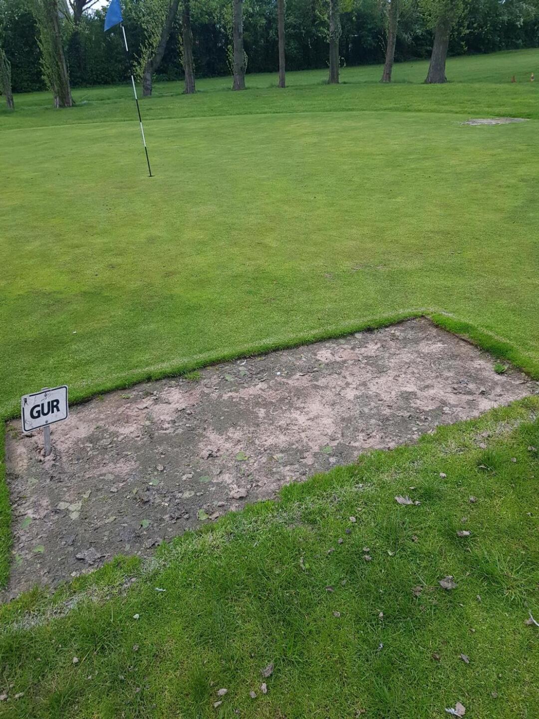 (Photo submitted by ARICCIO25 on 05/01/2024)