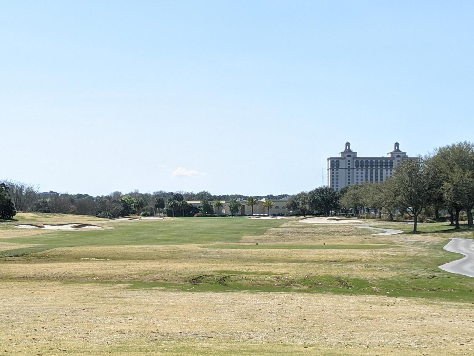 (Photo submitted by tiburonazo on 03/12/2021)