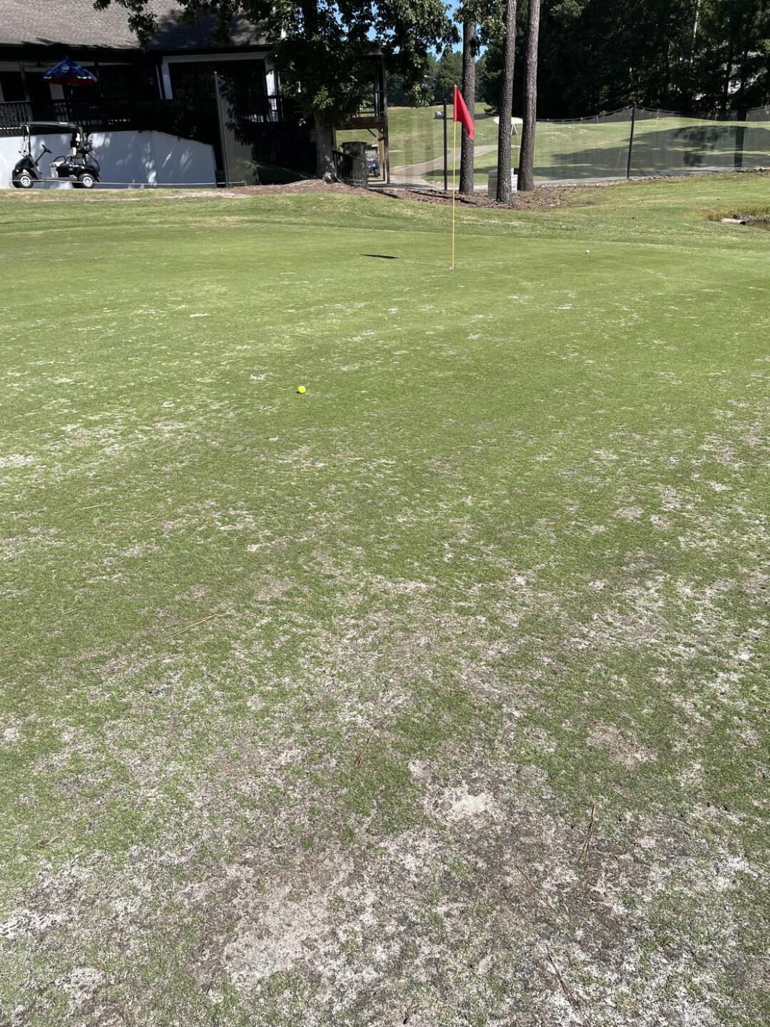 Putts were challenging (Photo submitted by NTXT9bKdKegDokvvgGf6 on 09/25/2023)