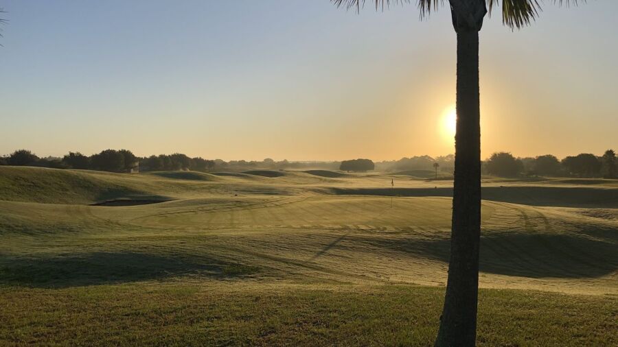 Black Bear GC