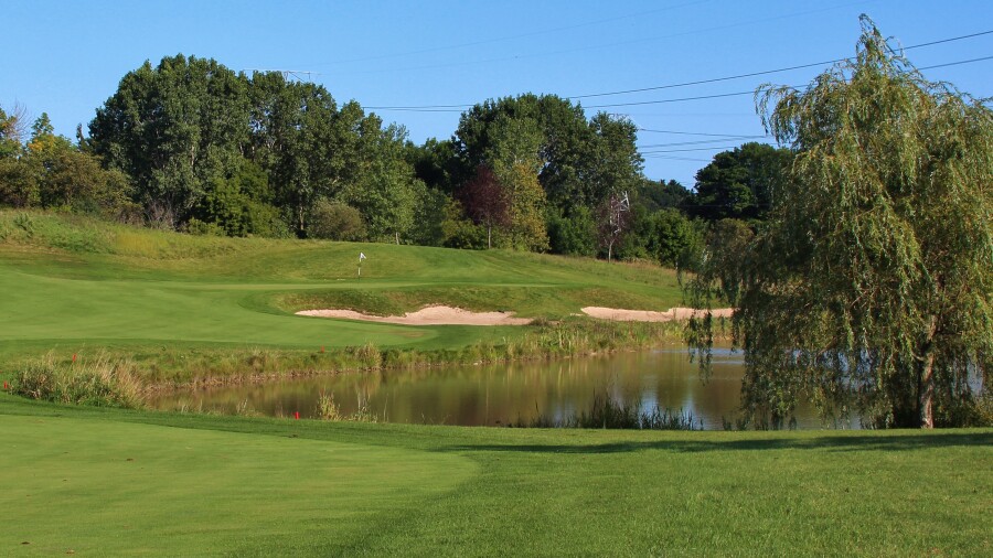 Bull at Pinehurst Farms golf course - hole 10