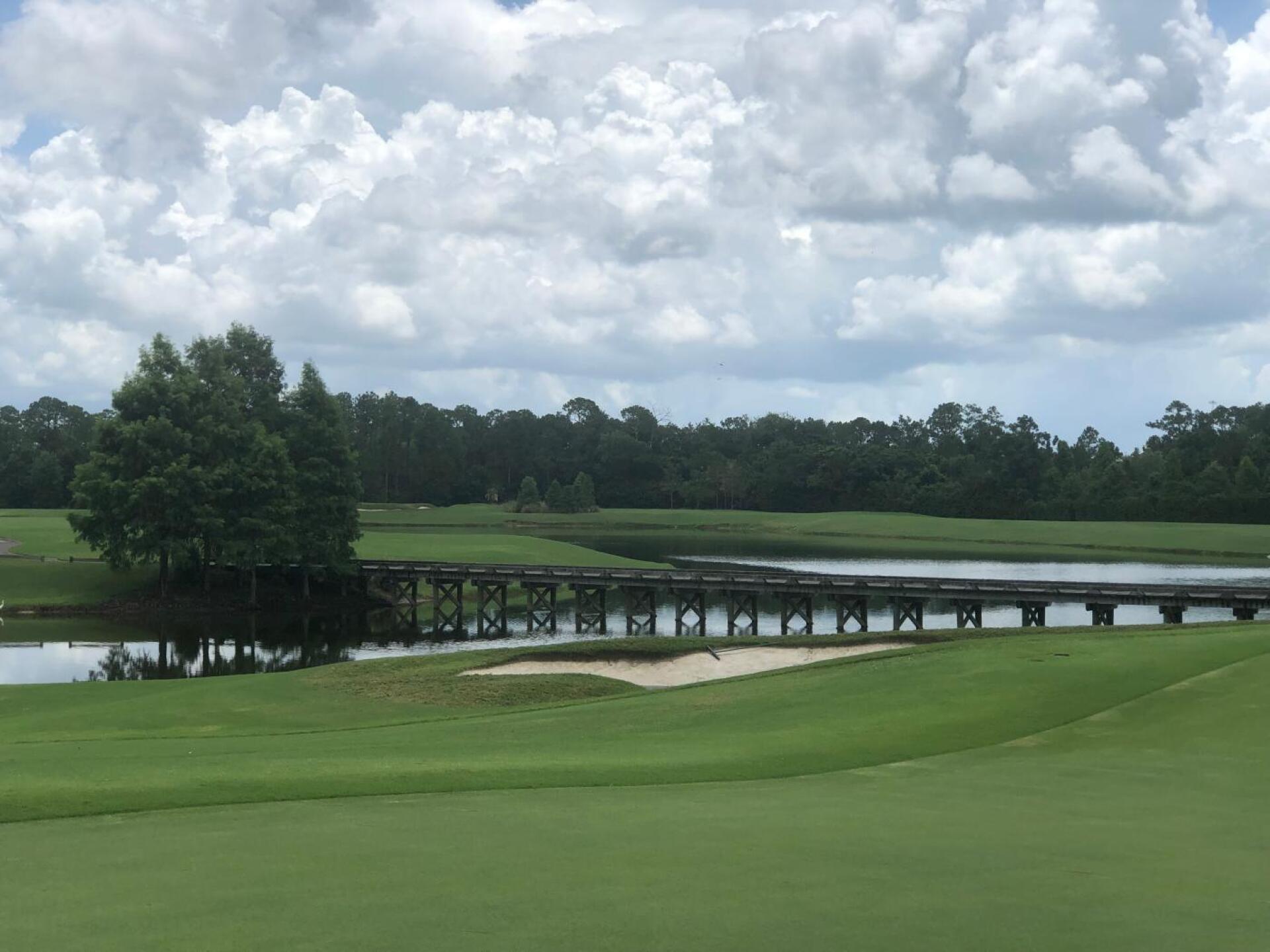 (Photo submitted by Jelly6911 on 07/20/2019)