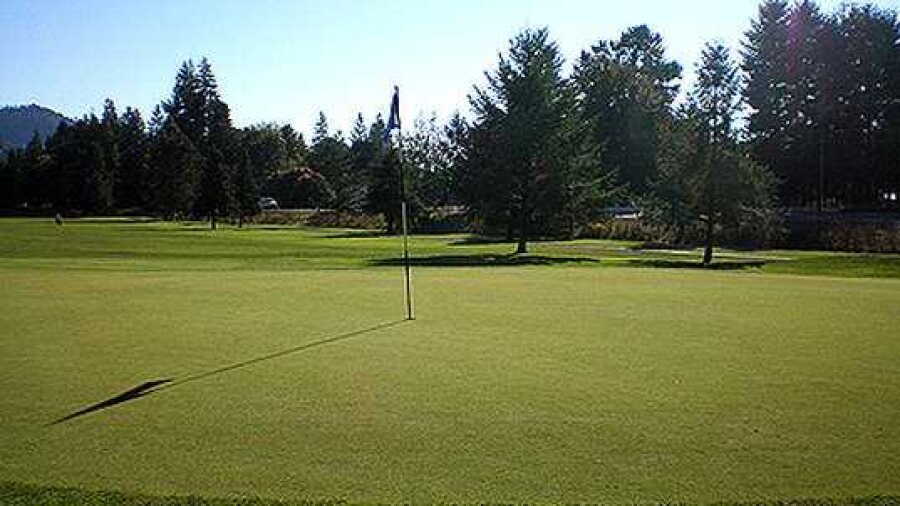 Springfield GC: #11