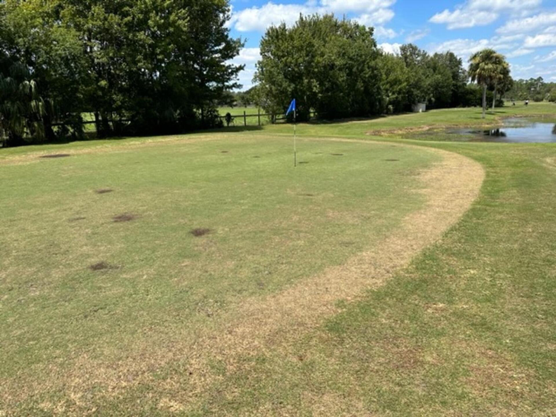 (Photo submitted by Tappestry on 09/09/2023)