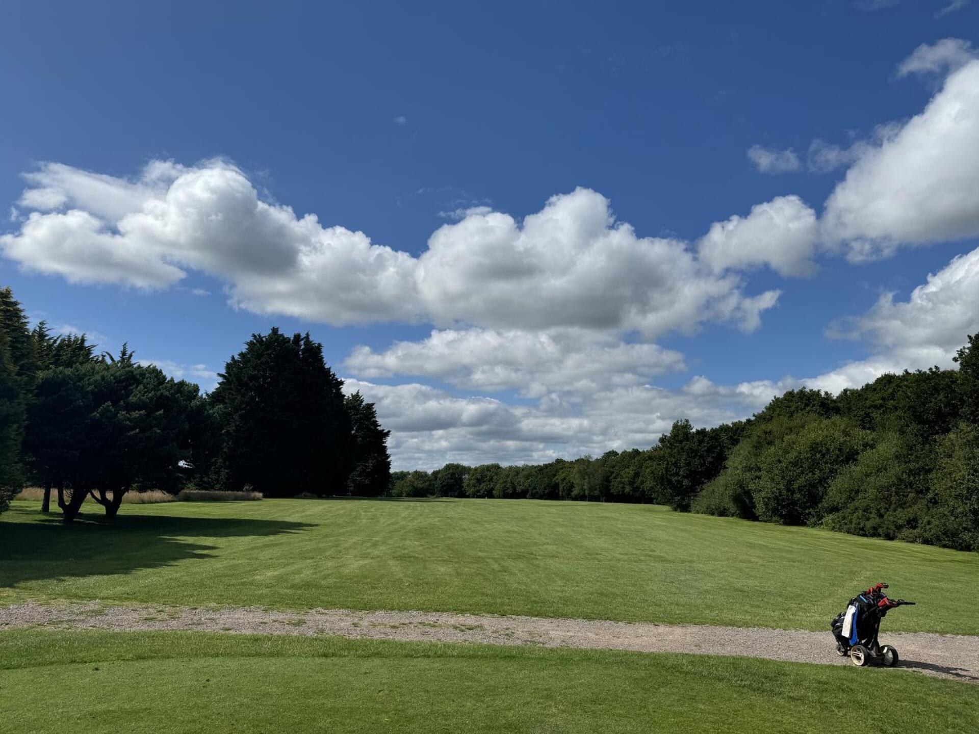 (Photo submitted by 9NgiekSfKcZQHJNwOkP9 on 07/22/2024)