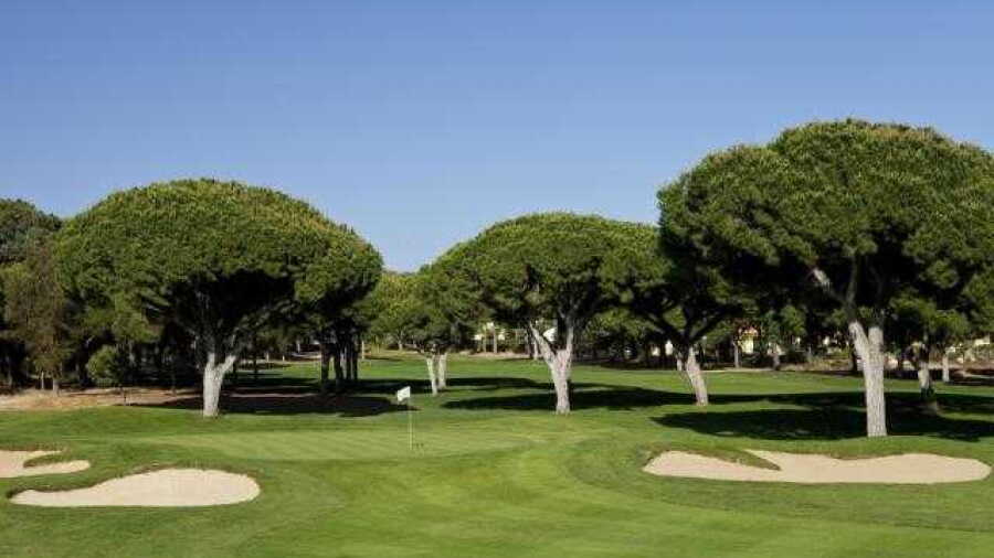 Dom Pedro Golf - Pinhal