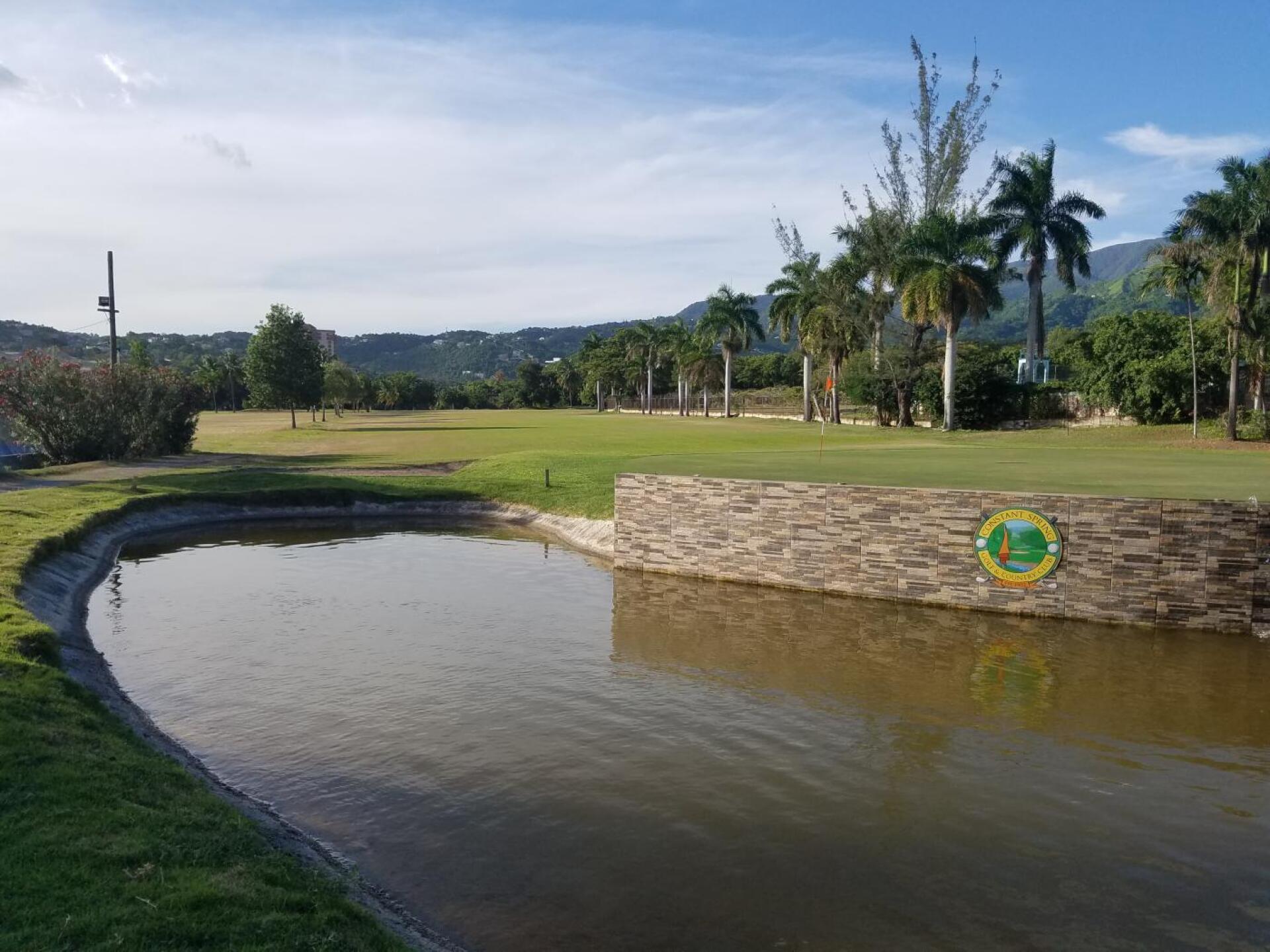 (Photo submitted by Guardian1068 on 07/01/2019)