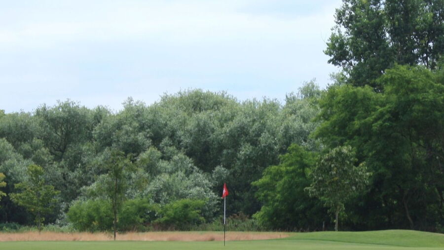 Royal Mid-Surrey GC - J. H. Taylor: #13