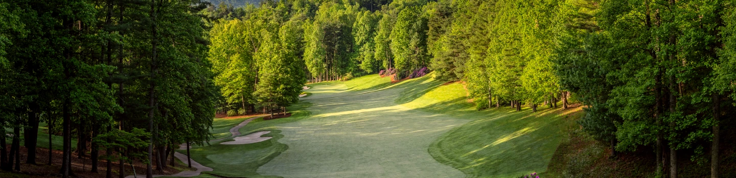 Champion Hills