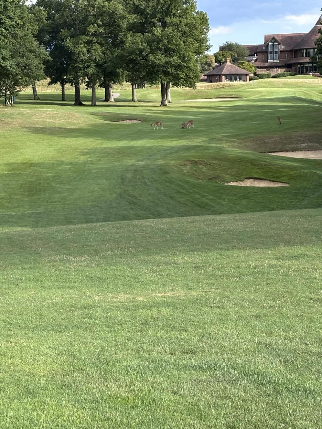 (Photo submitted by Vo7HdngZFHP7KzmJtiHs on 08/03/2025)