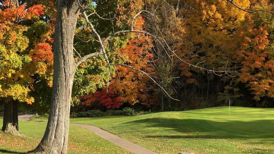 Village Green GC