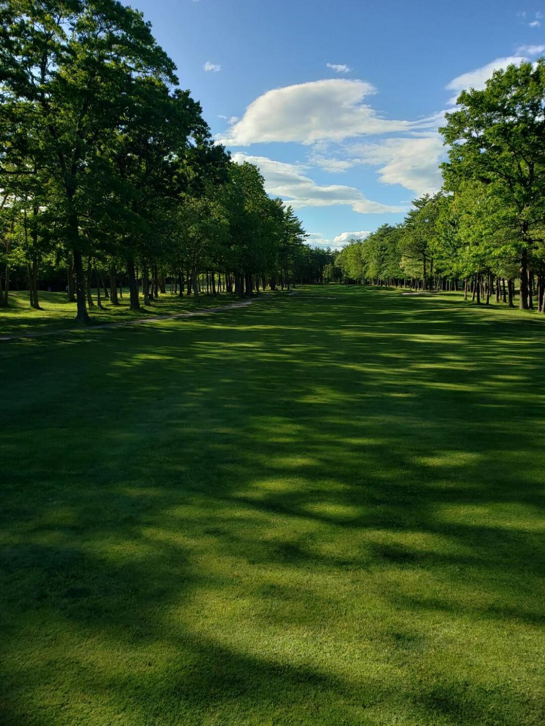 (Photo submitted by dave0909 on 05/31/2020)