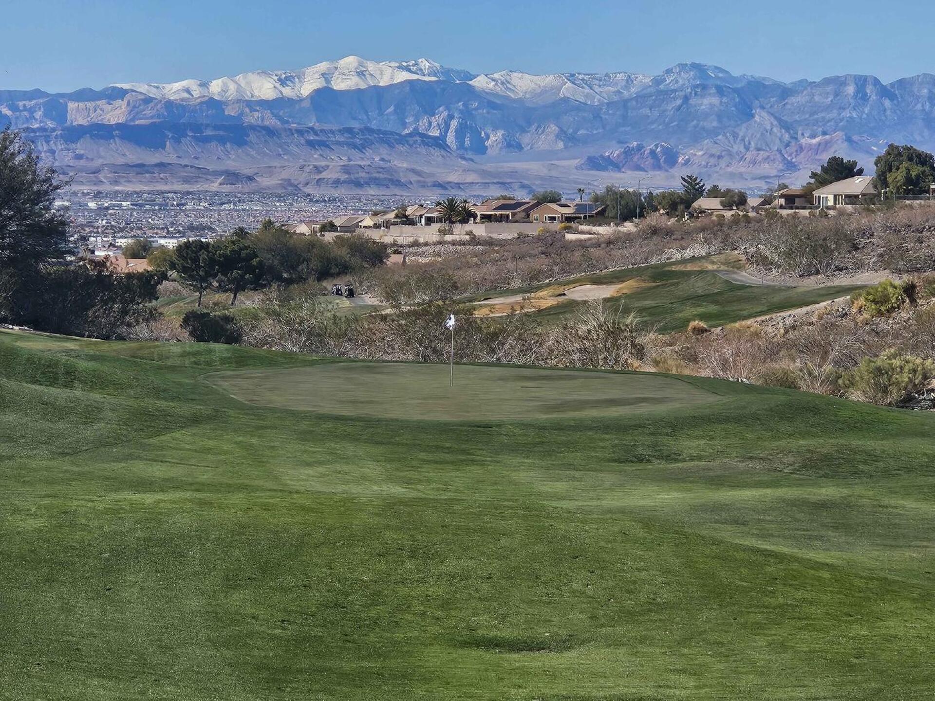 (Photo submitted by u314161622535 on 02/21/2025)