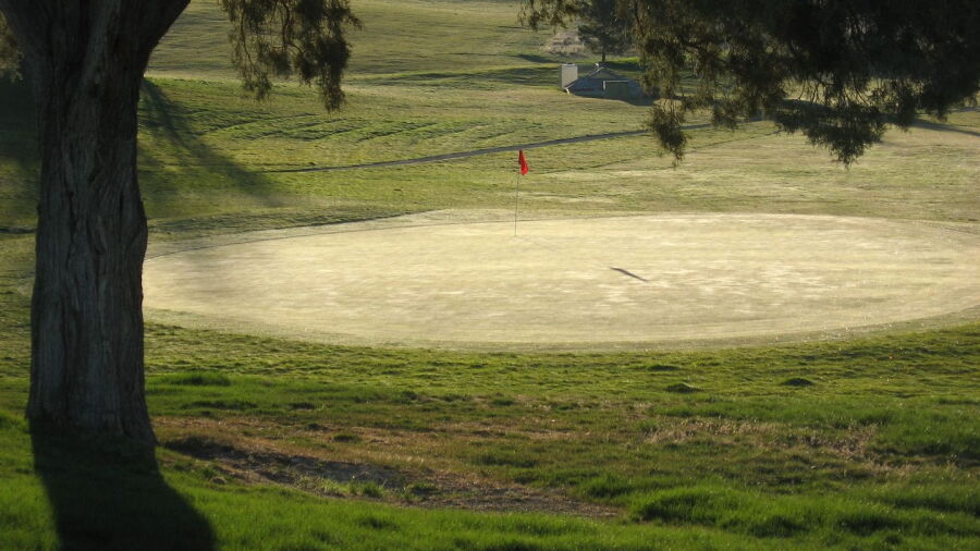 Shield Crest GC
